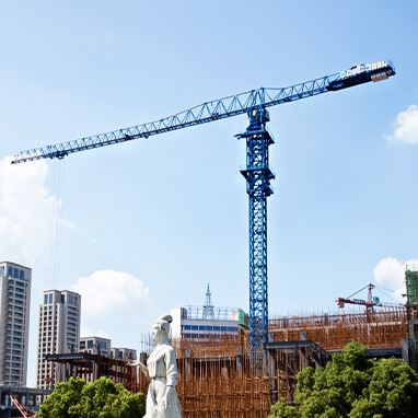 QTZP250 Topless Tower Crane